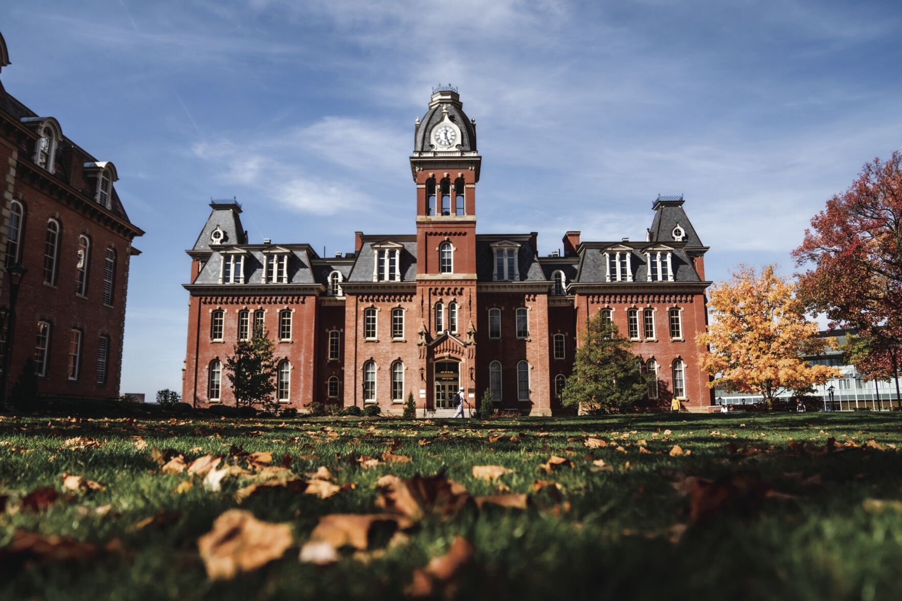 Seebaugh_CampusFoliage-1.jpg